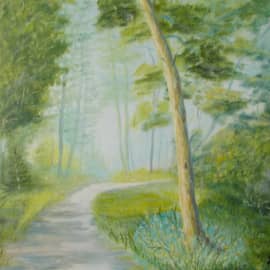 DSCN4179  Лесная дорожка.