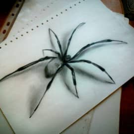 Паук, сюжет 3