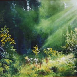 Солнечная поляна