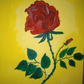 Красавица роза.