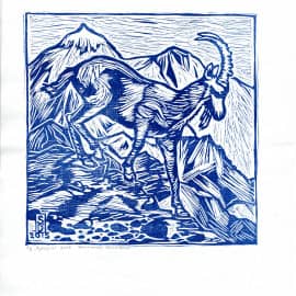 Эстамп  Архар 2 размер 16 х 16