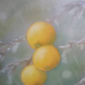 Апельсины в дождь
