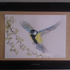 Синичка это маленький пухлый орел )