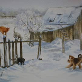 Любопытство