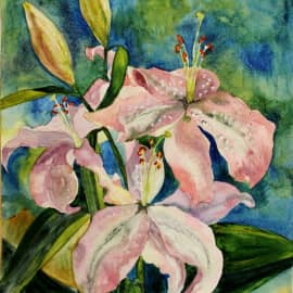 Лилии 
