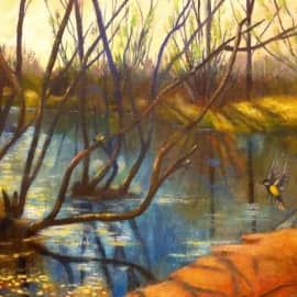 Весна пришла. Разлив