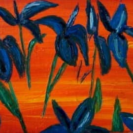 Ирисы в Закате