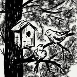 Скворечник 