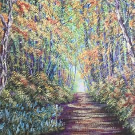 Дорога в лесу