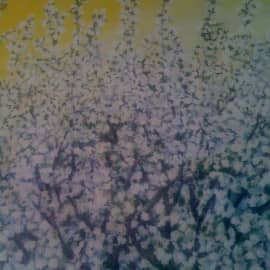 Цветущая яблоня