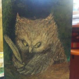 Совиная школа, сюжет 2