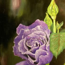 Роза, сюжет 4