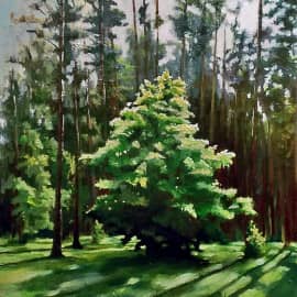 Деревце на краю леса