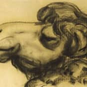 5 причин, по которым вы еще не стали хорошим художником