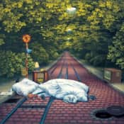 Мир Яцека Йерки