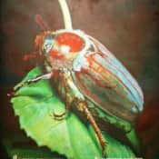 Он в коллекцию мою попадать не хочет