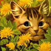 Смешались в кучу кошки, люди...