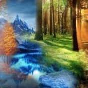 Советы для будущих мастеров пейзажа