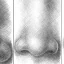 Учимся рисовать носы