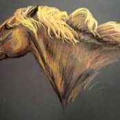 Урок: рисуем голову лошади