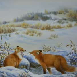 Первое знакомство