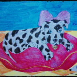 Каролевская собачка пуся