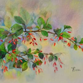 Ветка барбариса