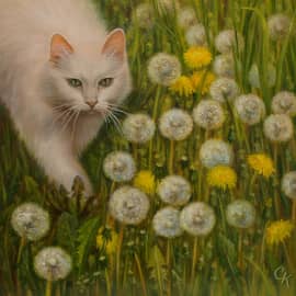 Одуванчики