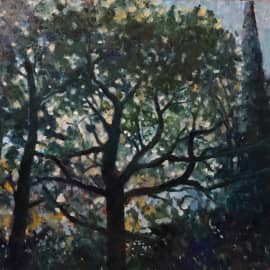 Старый платан. Вид из окна. Ялта