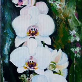 "Орхидеи"