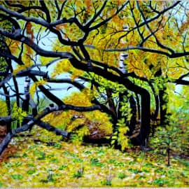 "Сказочный лес" (родные места)