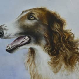 Русская псовая борзая