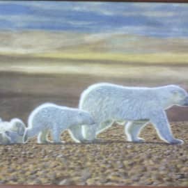 Жаркое солнце Арктики