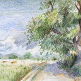 Тайская глубинка