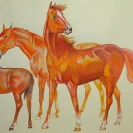 Группа лошадей.