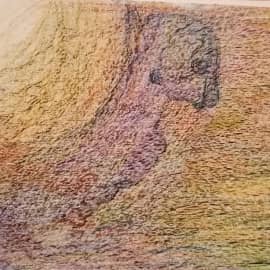 Новая жизнь!