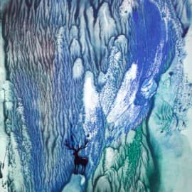 Чуткий житель леса