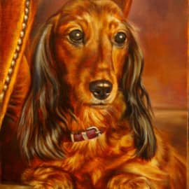 Портрет таксы