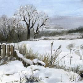 Зимняя прогулка