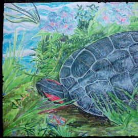 Черепаха на горе