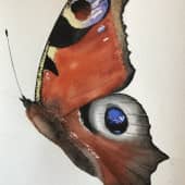 Бабочка ,со сломанным крылом (1), художник Анна Профатилова