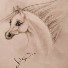 Ветер Пустыни