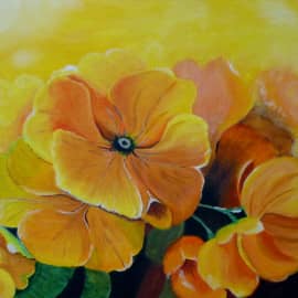 "Солнечная примула"