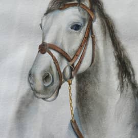 Белая лошадь