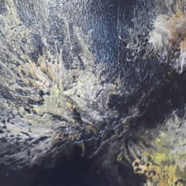 Одуванчики