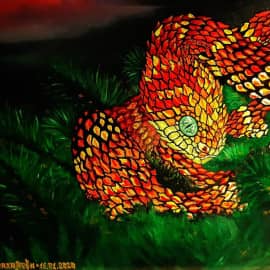 Atheris