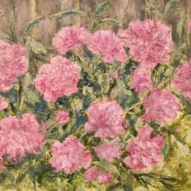 Пионы (розовые).