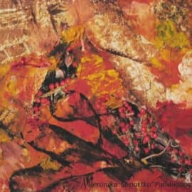 Рябиновое солнце