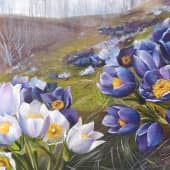 Подснежники