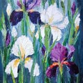 Ирисы